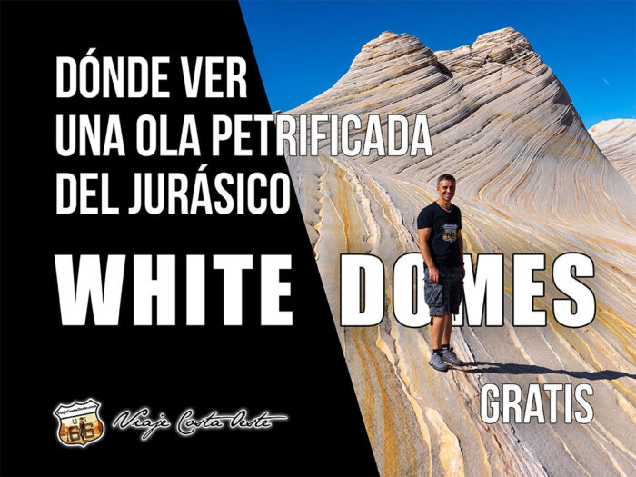 IMAGEN DESTACADA Dónde ver una ola petrificada gratis LOS WHITE DOMES