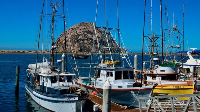 Morro Bay - Qué ver en el Big Sur California