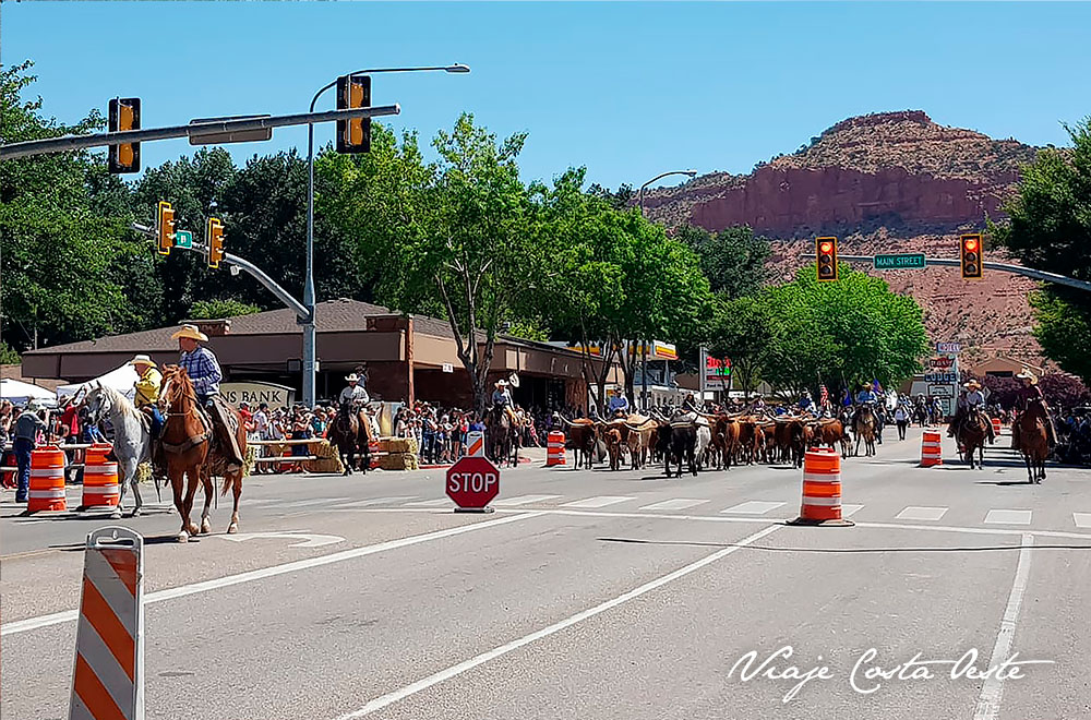 Arreo de ganado longhorn en Kanab