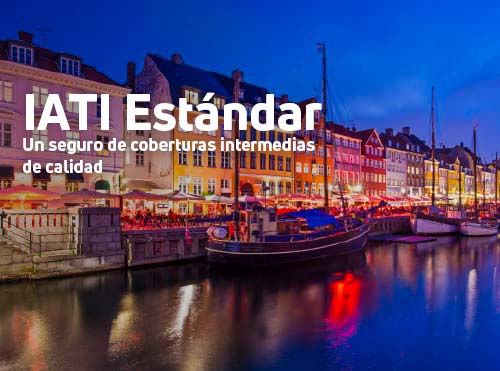 Seguro IATI Estándar