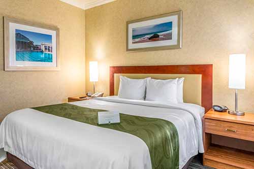Quality Inn San Luis Obispo [Habitación] - Dónde dormir en el Big Sur