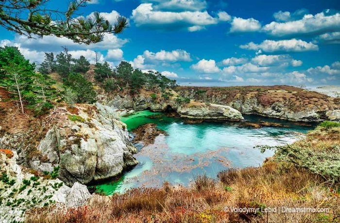 POINT LOBOS QUÉ VER EN EL BIG SUR California