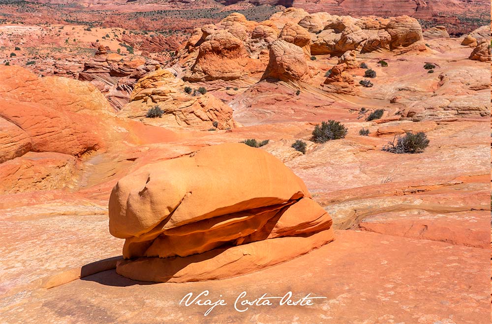 Formación rocosa en Coyote Buttes North - Half Burguer