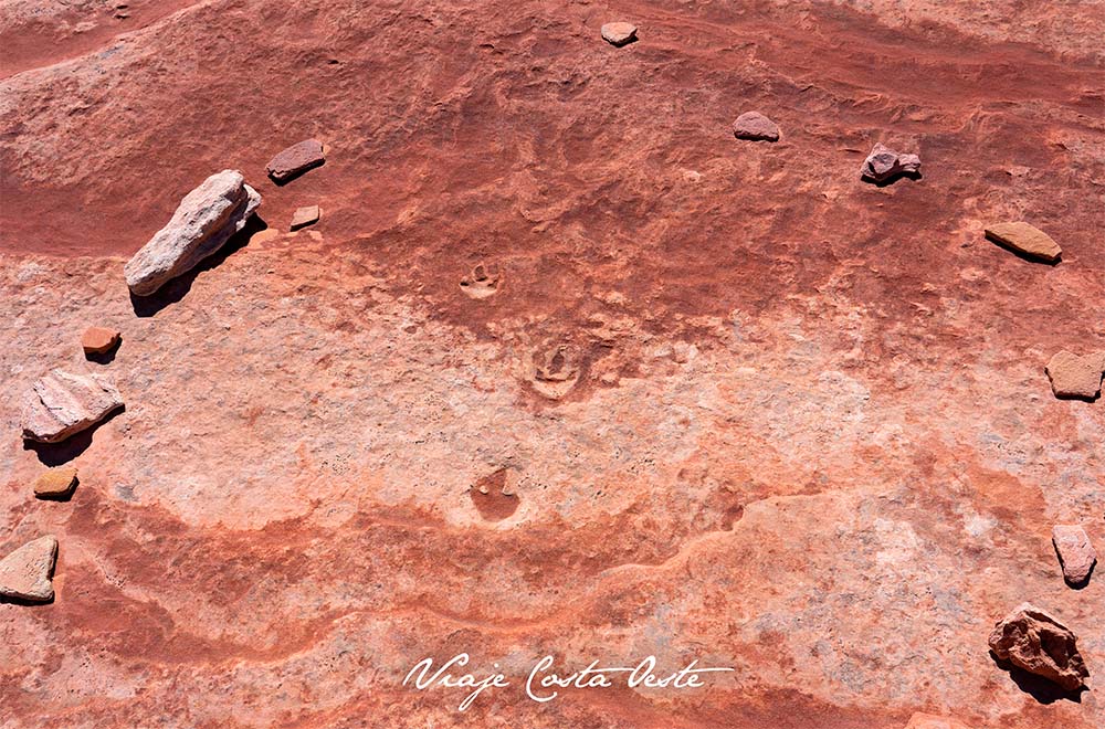 Huellas de dinosaurio en Coyote Buttes North Arizona