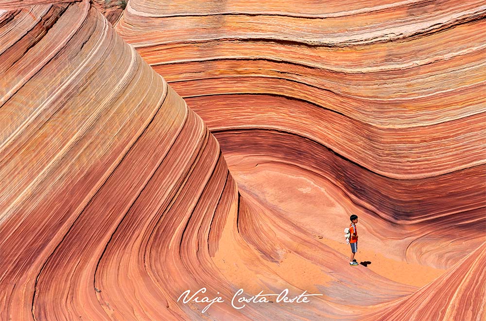 Ola Petrificada en Arizona The Wave en Coyote Buttes North