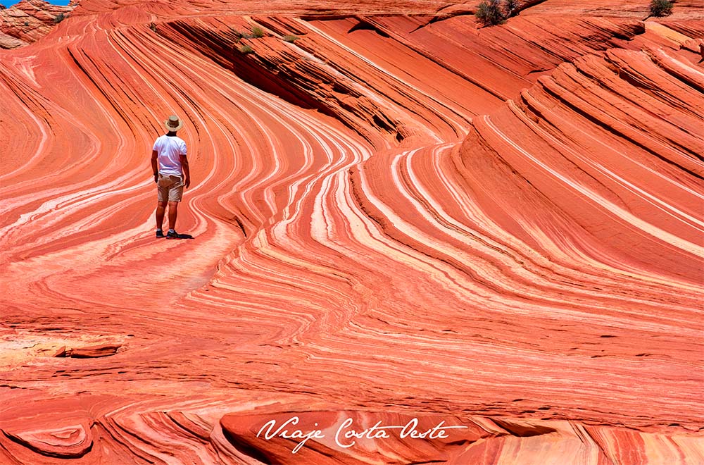Sand Cove en Coyote Buttes North Arizona