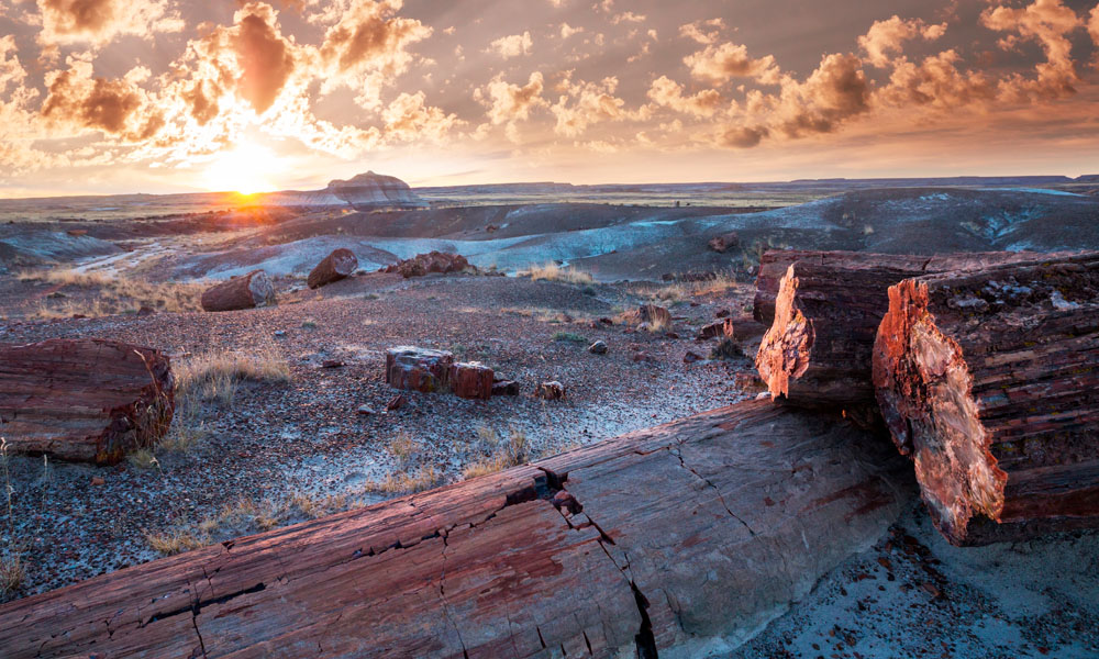 Atardecer en el Bosque Petrificado - Petrified Forest National Park