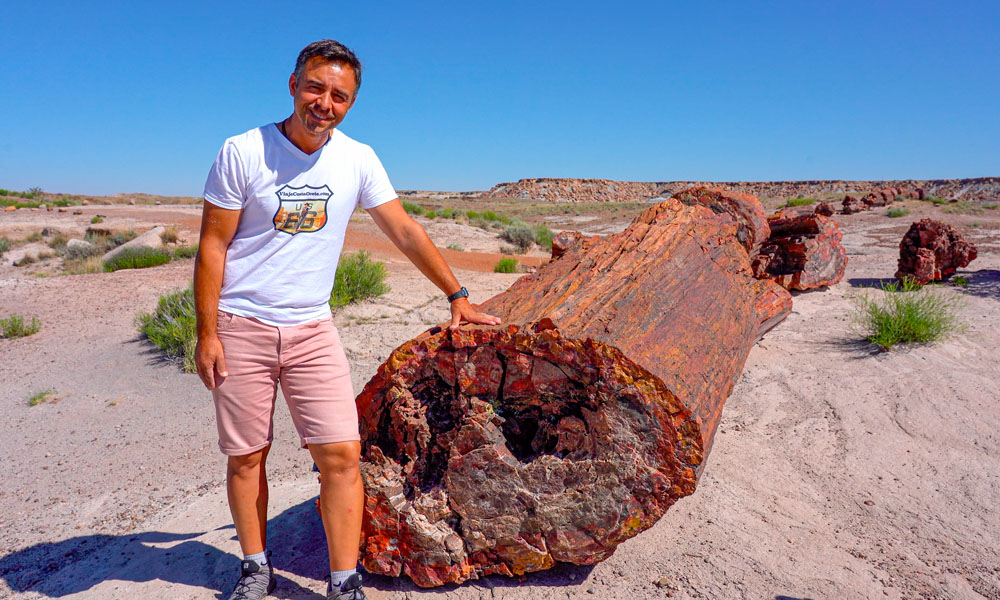 12 Qué ver en el Bosque Petrificado - Delfi Sánchez - Petrified Forest National Park