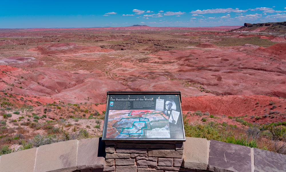 15 Qué ver en el Bosque Petrificado - Painted Desert - Petrified Forest National Park