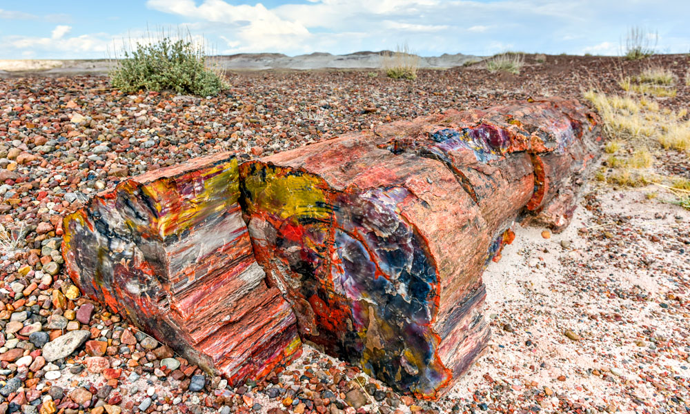 5 Qué ver en el Bosque Petrificado - Giant Logs Trail - Petrified Forest National Park
