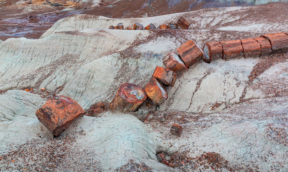 8 Qué ver en el Bosque Petrificado - Crystal Forest - Petrified Forest National Park