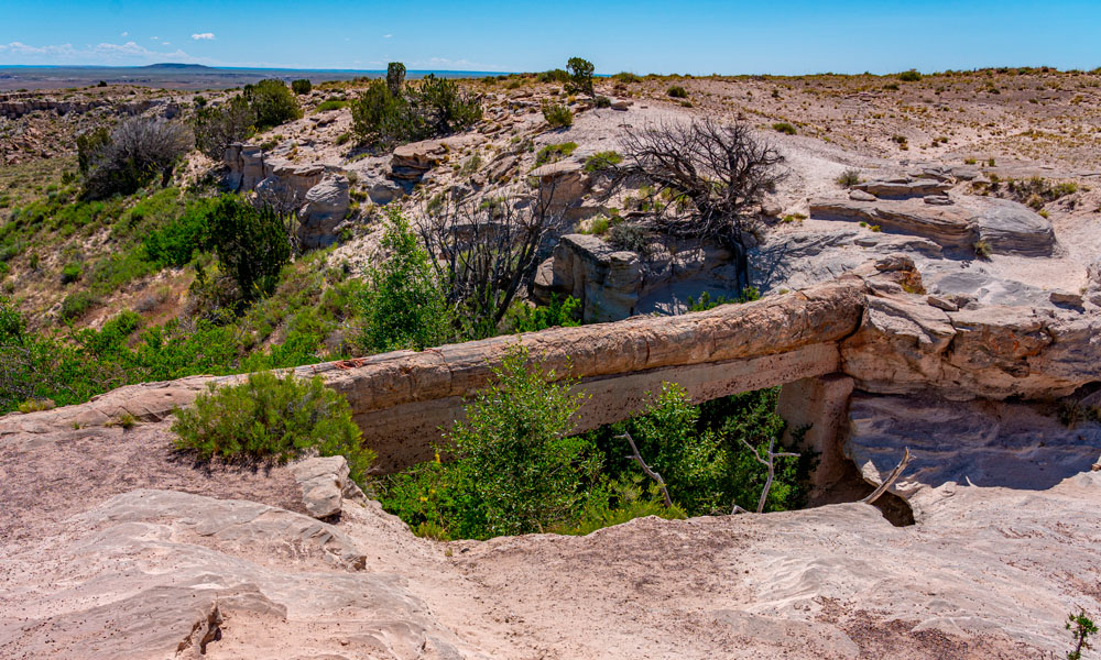 9 Qué ver en el Bosque Petrificado - Agate Bridge - Petrified Forest National Park