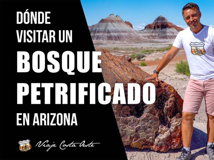 PORTADA Petrified Forest NP