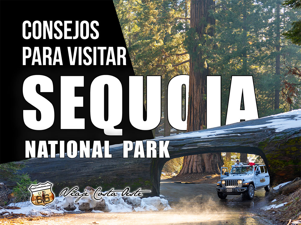 IMAGEN DESTACADA Consejos para visitar Sequoia National Park