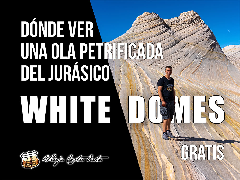 IMAGEN DESTACADA Dónde ver una ola petrificada gratis LOS WHITE DOMES